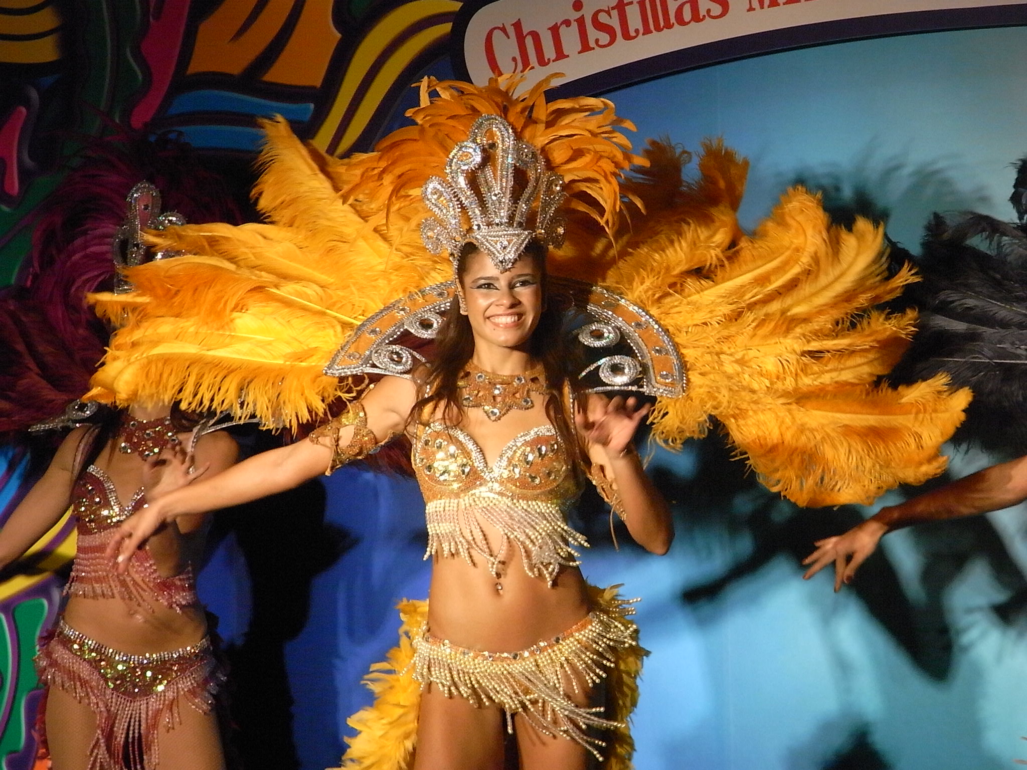 Brazilian Samba Encyclopedia Of Dancesport